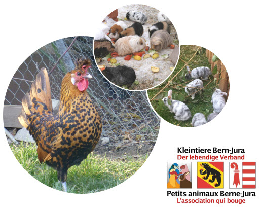 Pfingstlager / Camp de Pentecôte 2022